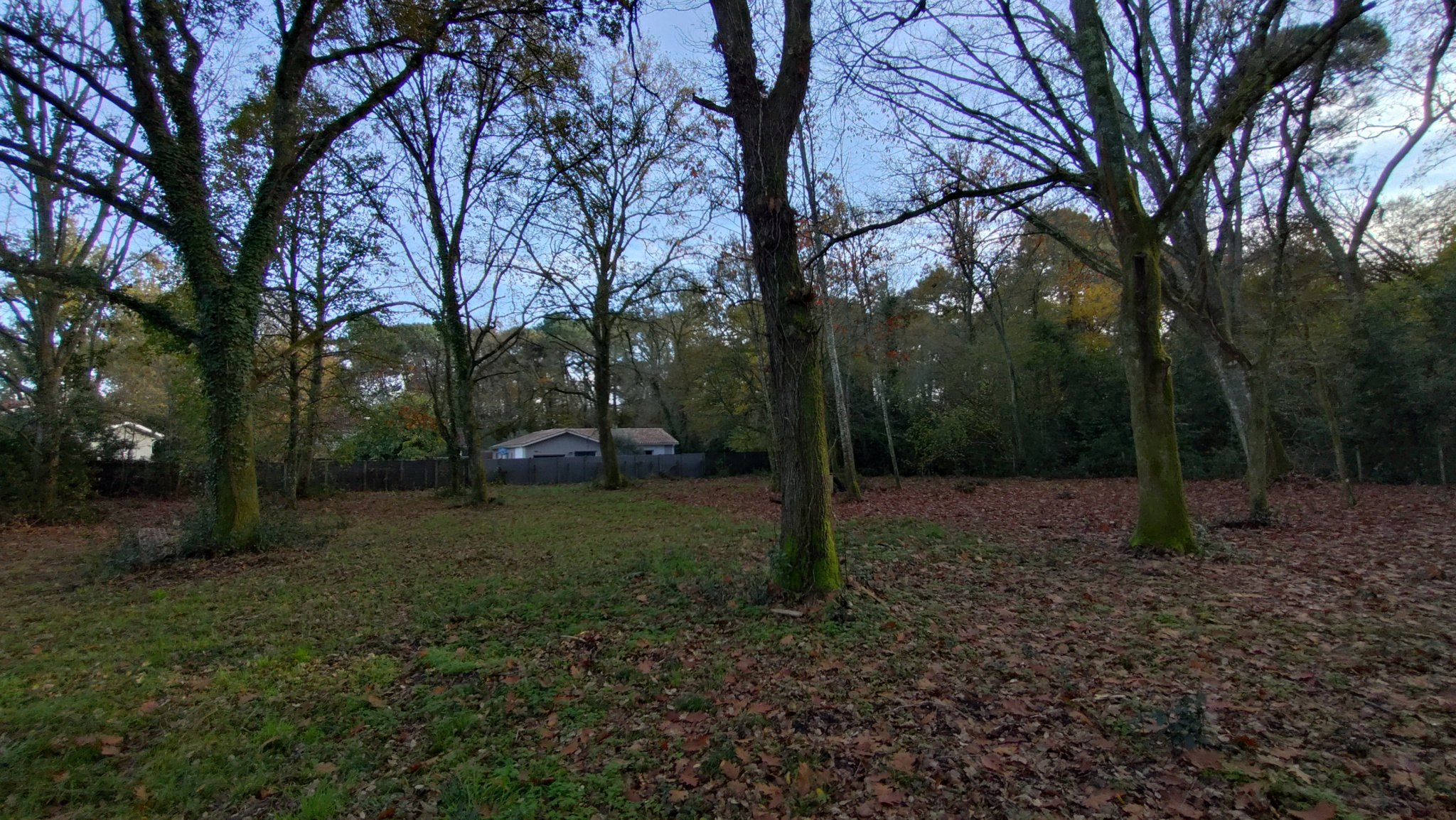 TERRAIN A VENDRE